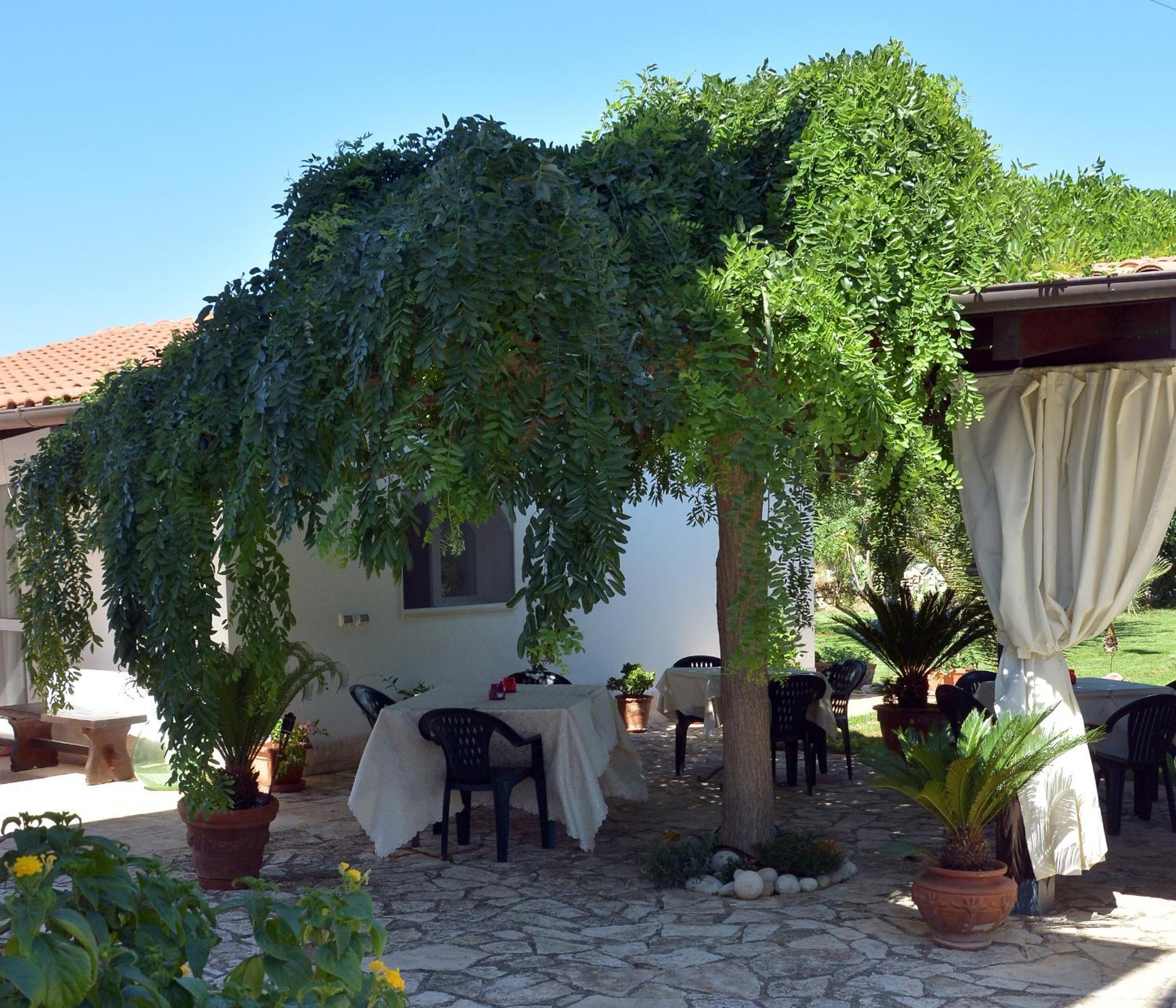 B&B Villa Ernestina Castellana Grotte Dış mekan fotoğraf